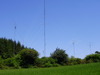 TM1W Image